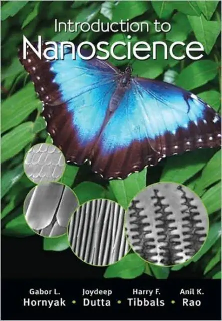 Direct Beschikbaar Hornyak, G: Introduction to Nanoscience / Druk 1