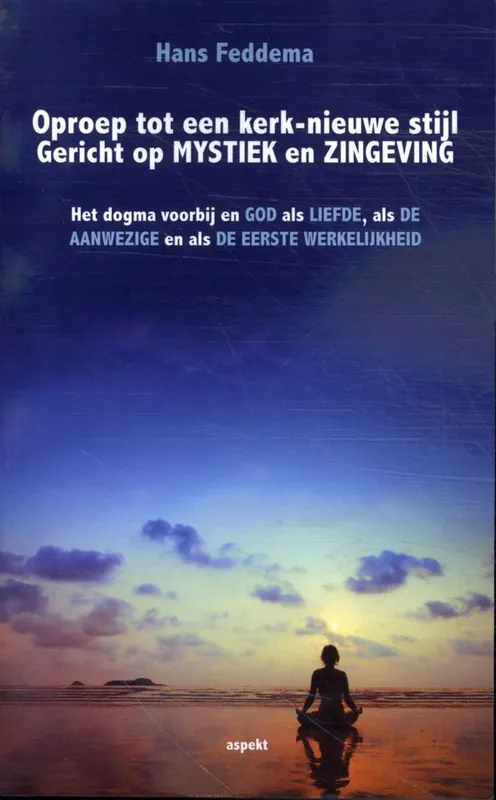 Direct Beschikbaar Oproep tot een kerk-nieuwe stijl Gericht op mystiek en zingeving / Druk 2