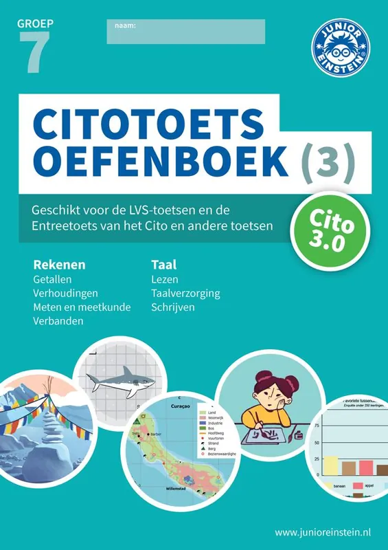 Citotoets Oefenboek (3) groep 7 / Druk 1 Merkproduct