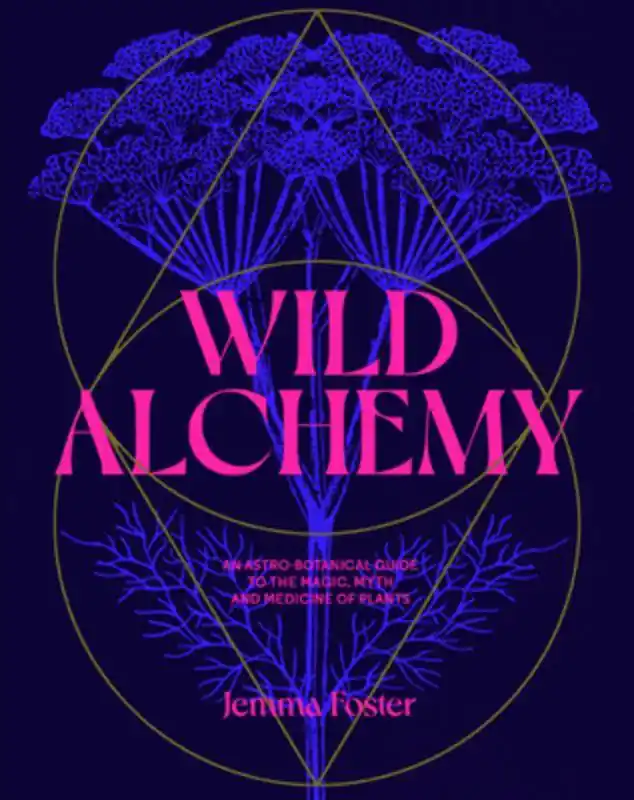 Koop Vandaag Foster, J: Wild Alchemy