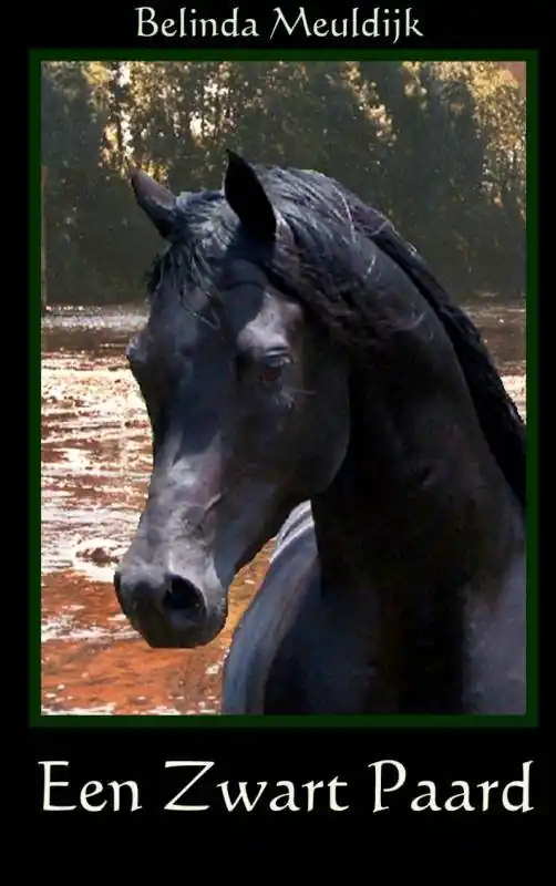 Aanbieding Een zwart paard / Druk 1