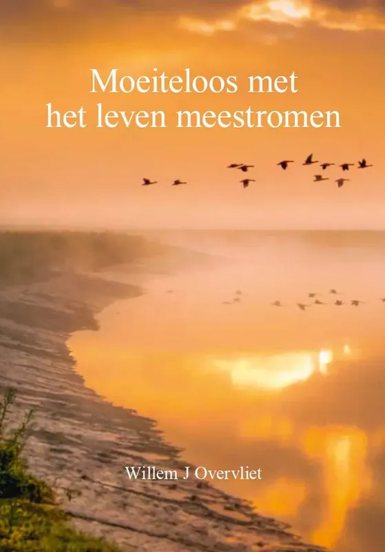 Lage Kosten Moeiteloos met het leven meestromen / Druk 1