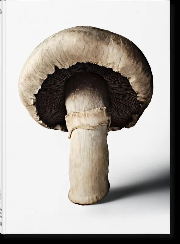 The Gourmand's Mushroom Goedkoop
