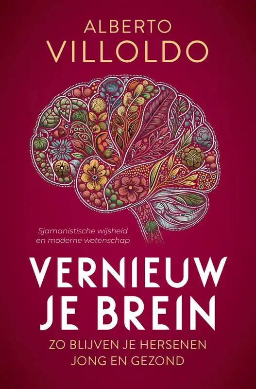 Gereduceerde Prijs Vernieuw je brein / Druk 1