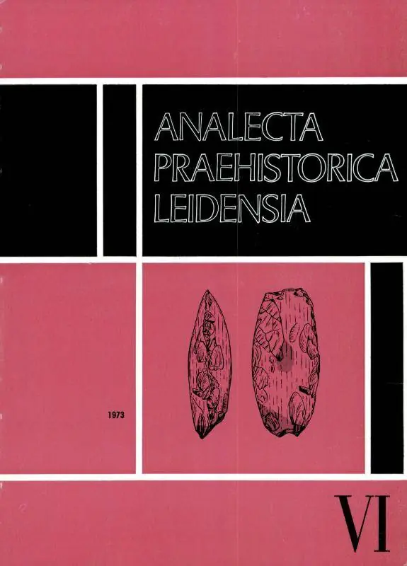 Merkproduct Analecta praehistorica leidensia 6 / Druk 1
