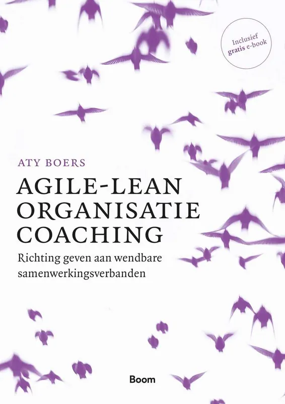 Gereduceerde Prijs Agile-lean organisatiecoaching / Druk 1