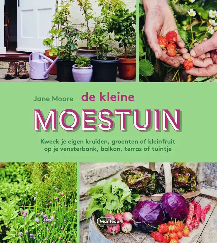 Lage Kosten De kleine moestuin / Druk 1