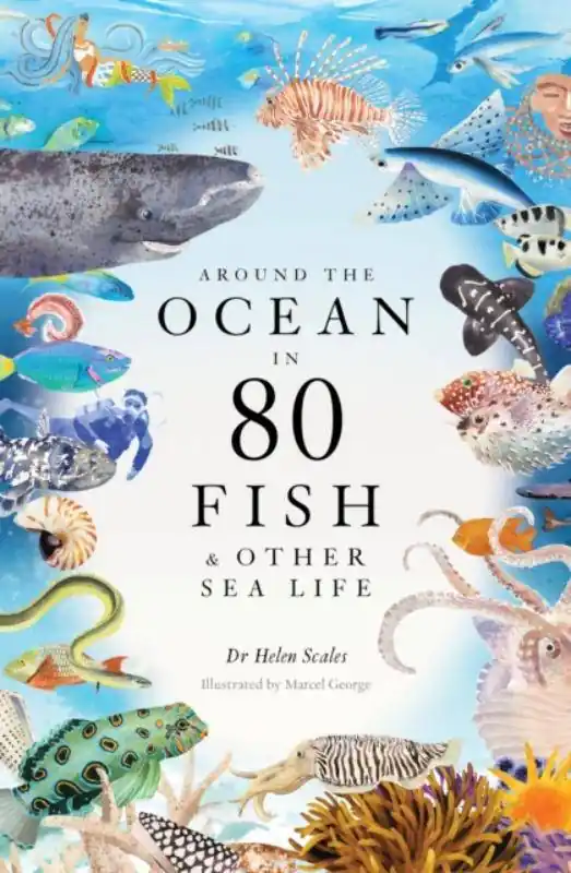 Around the Ocean in 80 Fish and other Sea Life Hoge Kwaliteit