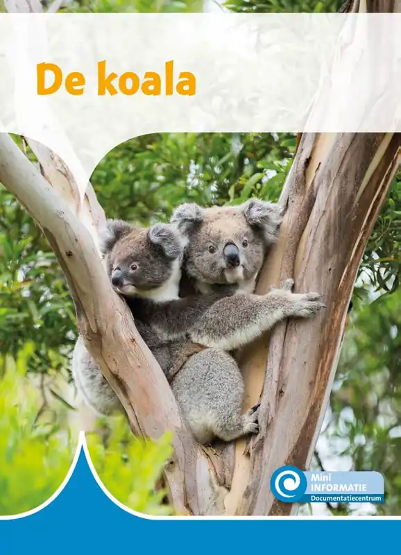 Flitsaanbieding De koala / Druk 1