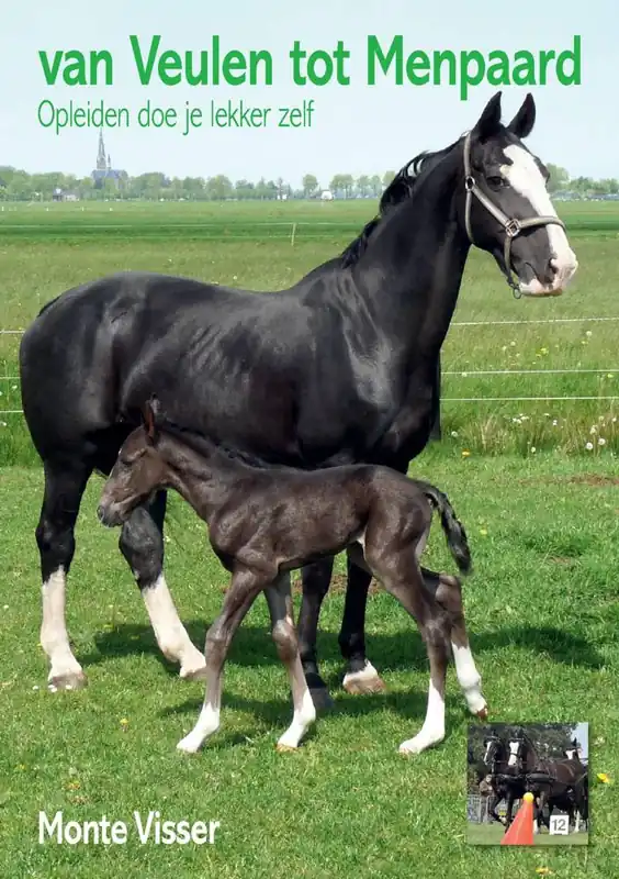 Van Veulen tot Menpaard / Druk 1 Nieuw