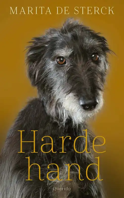 Weekendaanbieding Harde hand / Druk 1