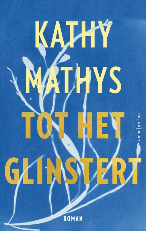 Bestel Nu Tot het glinstert / Druk 1