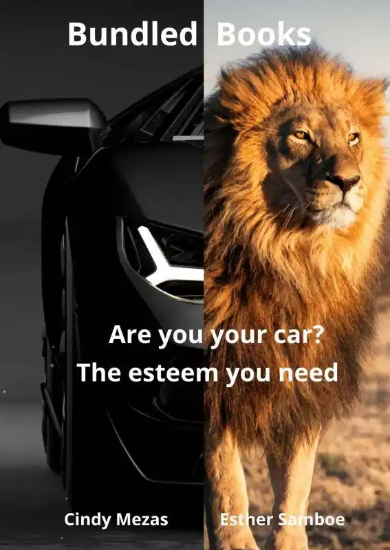 Rechtstreeks Van De Fabrikant Bundled Books: Are You Your Car? | The Esteem You Need / 1st Edition