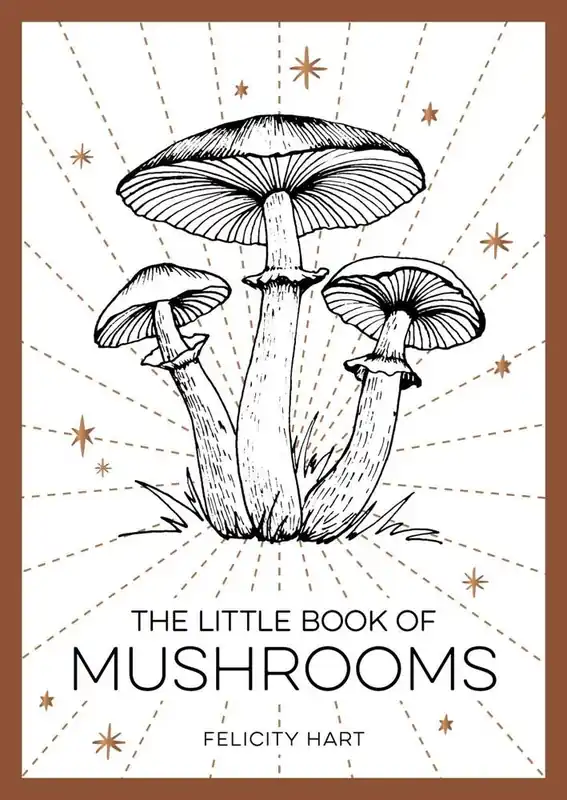 The Little Book of Mushrooms Meest Verkocht