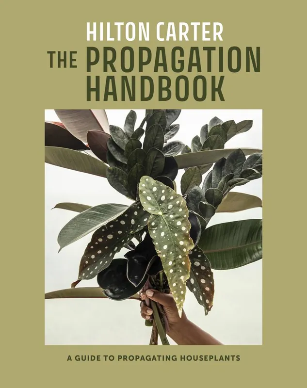 Voordeelprijs The Propagation Handbook