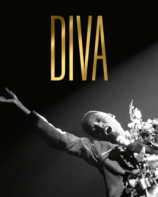 Diva Veilige Betaling