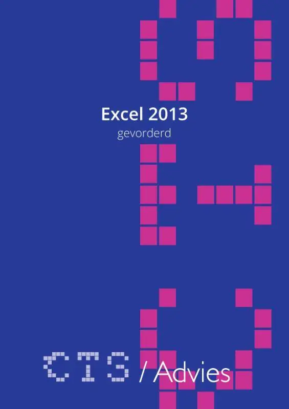 Beperkte Voorraad Excel 2013 Gevorderd / Druk 1