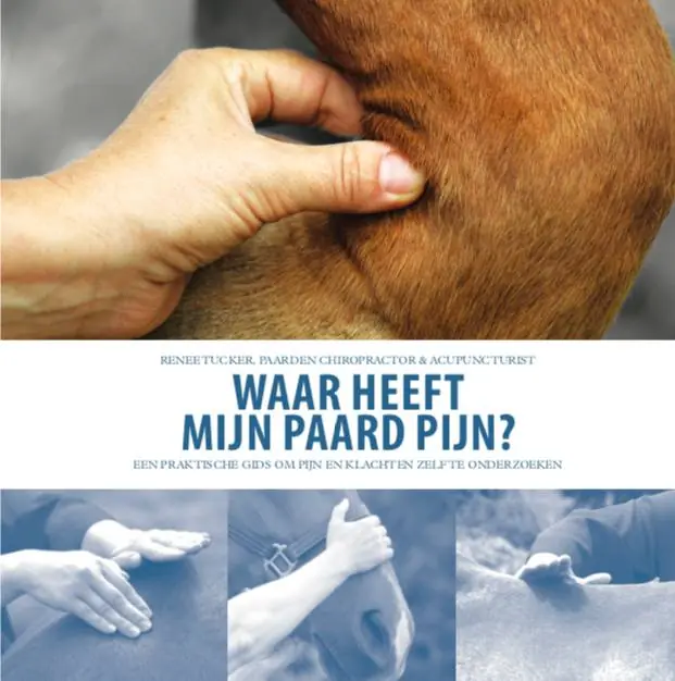 Waar heeft mijn paard pijn? / Druk 1 Must-Have