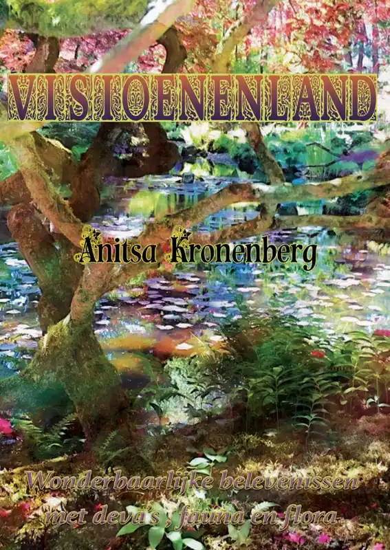 Veilige Betaling Visioenenland / Druk 1
