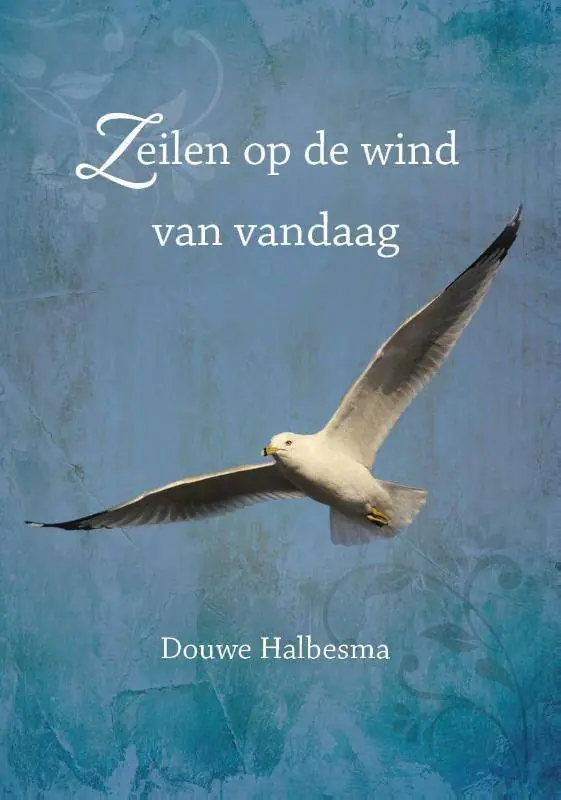 Zeilen op de wind van vandaag / Druk 1 Snelle Levering
