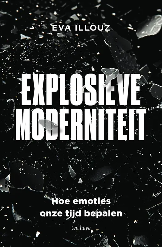 Explosieve moderniteit / Druk 1 Koop Vandaag