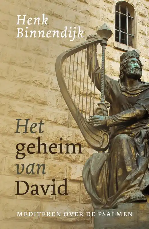 Veilige Betaling Het geheim van David / Druk 3