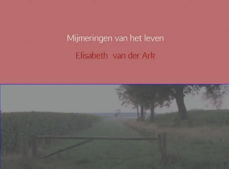 Beperkte Voorraad Mijmeringen van het leven / Druk 1