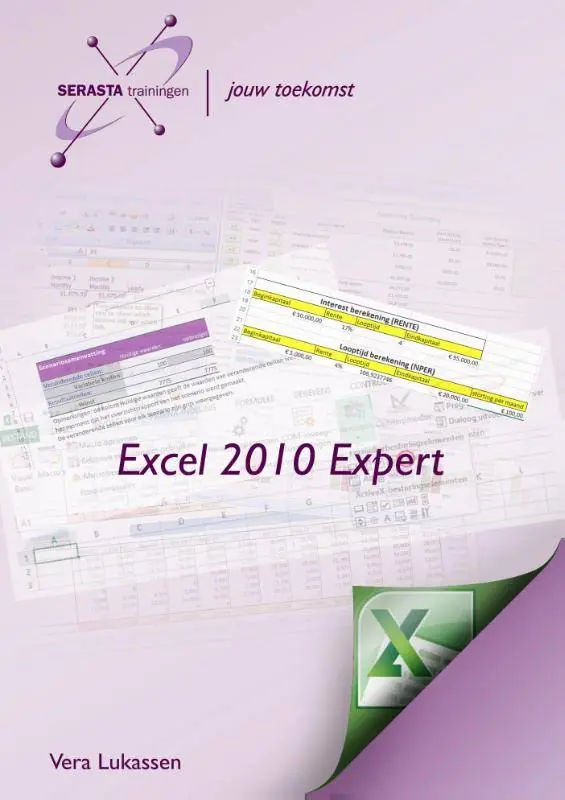 Hoge Kwaliteit Excel 2010 Expert / Druk 1