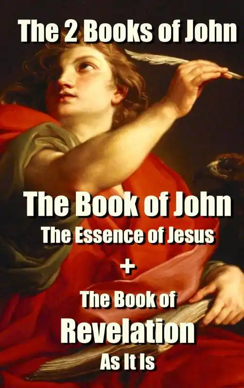 Snelle Levering The 2 Books of John / 4th Edition