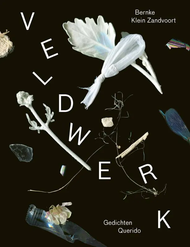 Veilige Betaling Veldwerk / Druk 1
