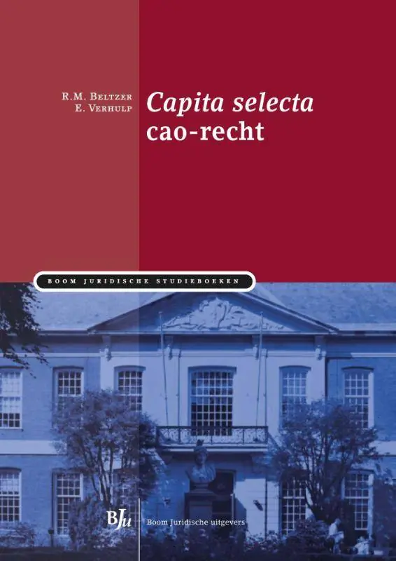Dagaanbieding Capita selecta cao-recht / Druk 1