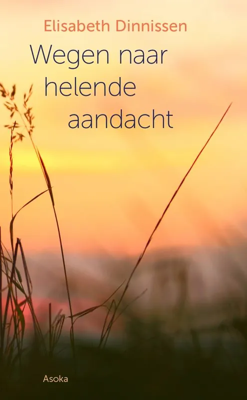 Wegen naar helende aandacht / Druk 1 Dagaanbieding