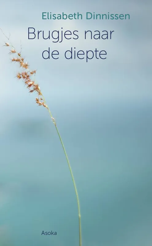 Brugjes naar de diepte / Druk 1 Flitsaanbieding
