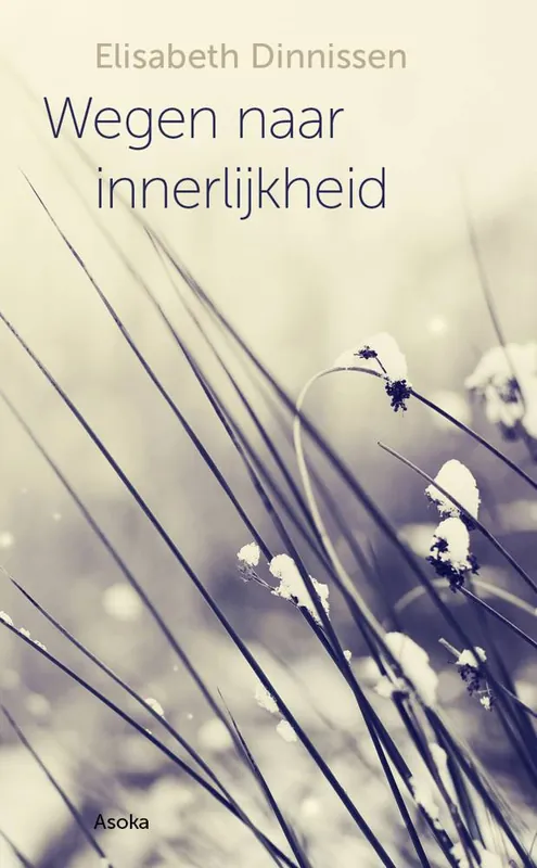 Koop Online Wegen naar innerlijkheid / Druk 1