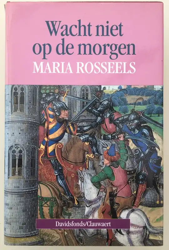 Direct Beschikbaar Wacht niet op de morgen - M. Rosseels