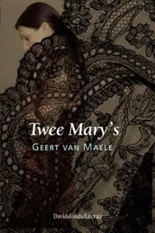 Twee Mary's - Geert Van Maele Bestseller