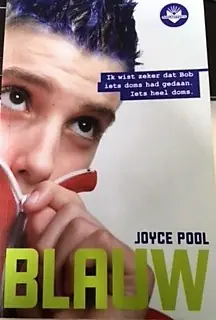 Blauw - Joyce Pool Betaalbaar