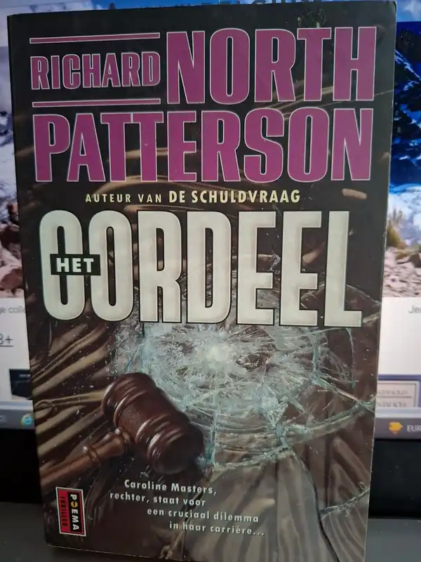 Het oordeel - Richard North Patterson Nu Kopen