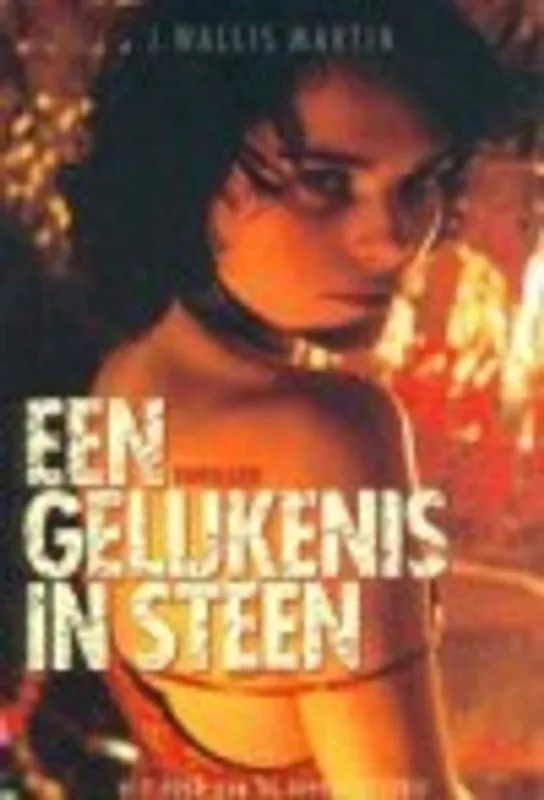 GELIJKENIS IN STEEN - WALLIS MARTIN Koop Online