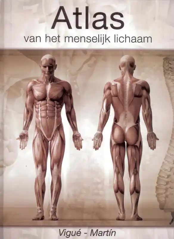 Direct Beschikbaar Atlas van het menselijk lichaam - Jordi Vigué