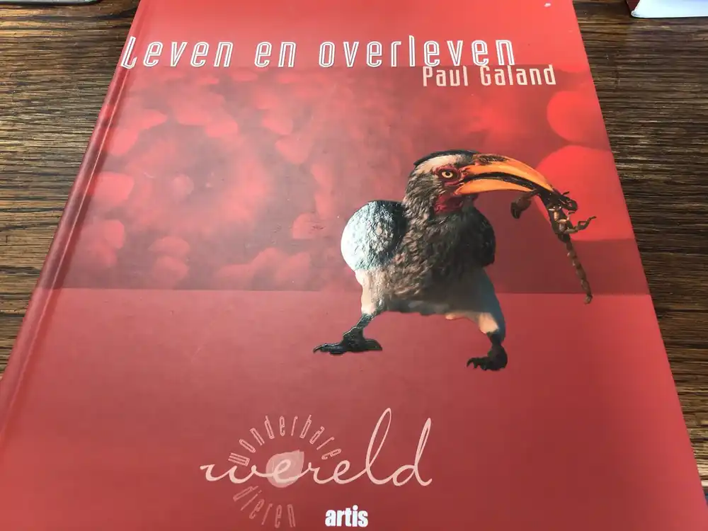 Koop Online Leven en overleven - P. Galand