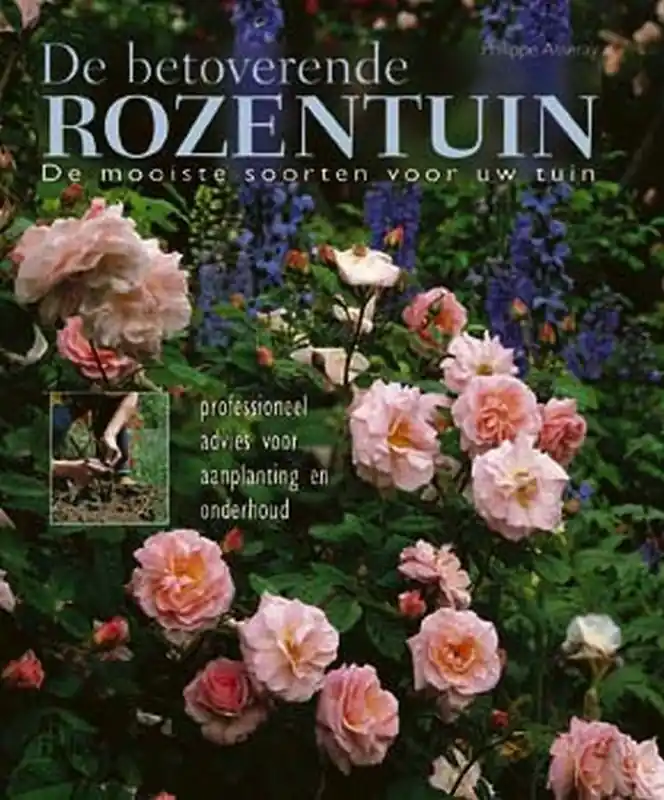 Seizoensaanbieding De betoverende rozentuin - P. Asseray
