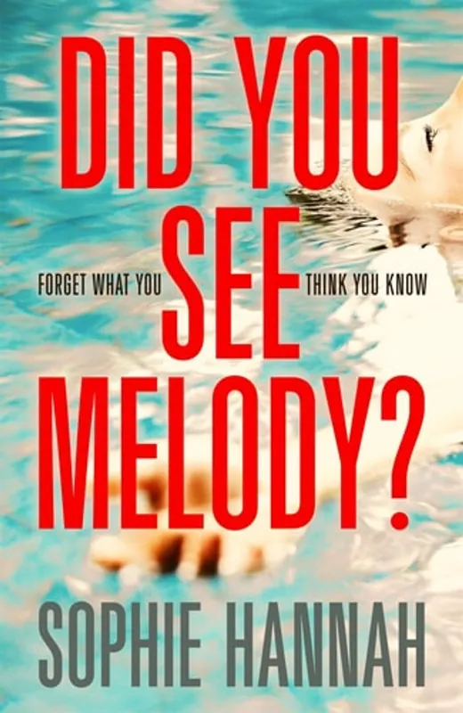 Did You See Melody? - Sophie Hannah Bestel Nu