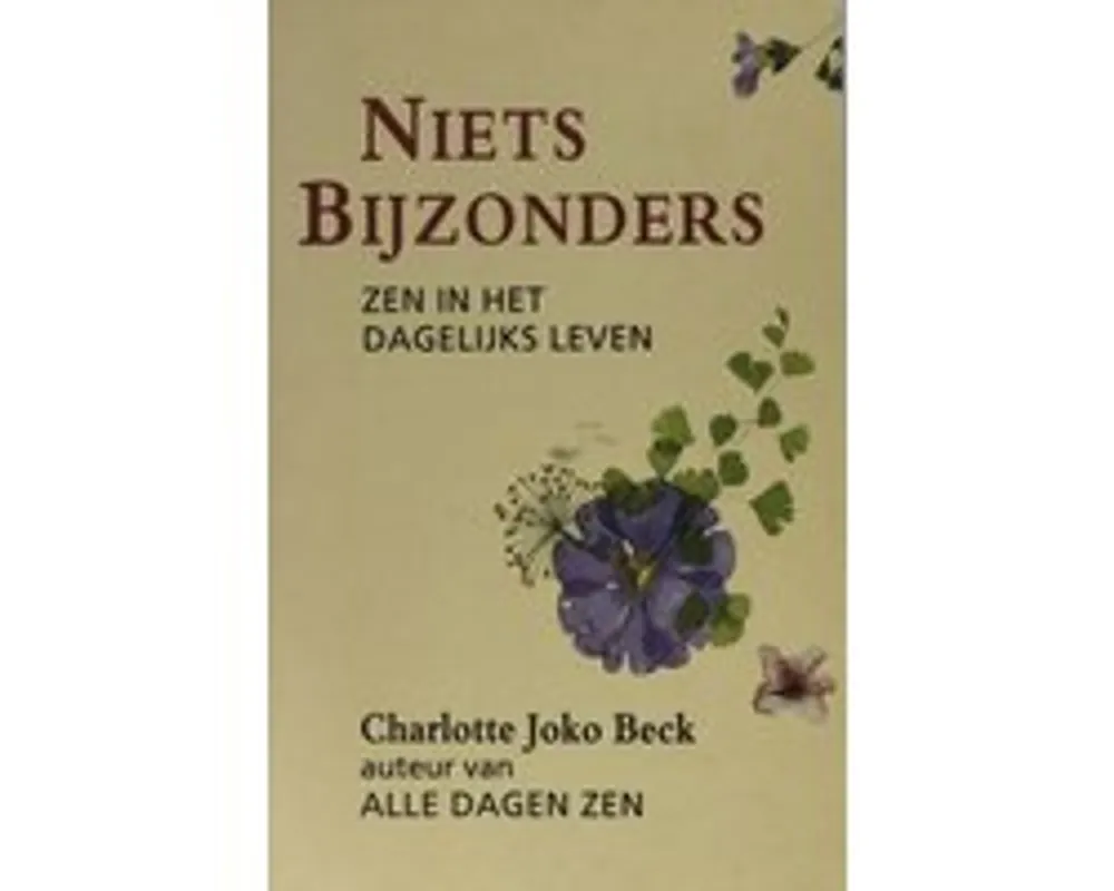Niets bijzonders - C.J. Beck Koopje
