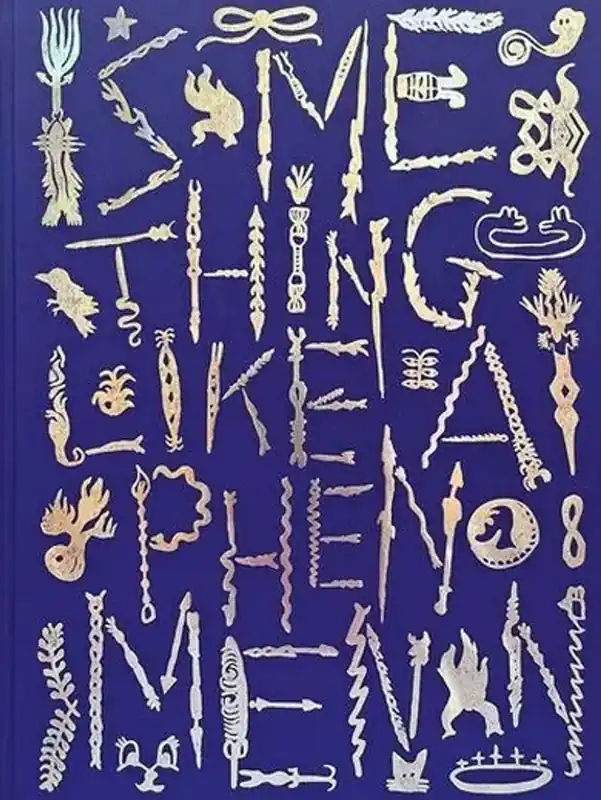 Direct Beschikbaar Something like a phenomenon - Sharon van Overmeiren