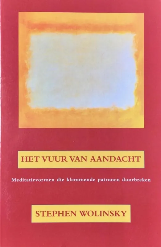 Vuur van aandacht - S.H. Wolinsky Snelle Levering
