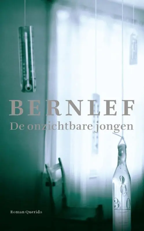De onzichtbare jongen - Bernlef Direct Verzonden