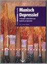 Manisch depressief - verhoogde vatbaarheid voor manieen en depressies - Hans Kamp Beperkt Aanbod