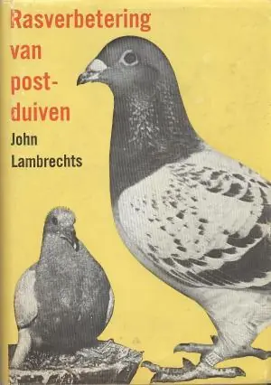 Rasverbetering van postduiven - Lambrechts Lage Prijs