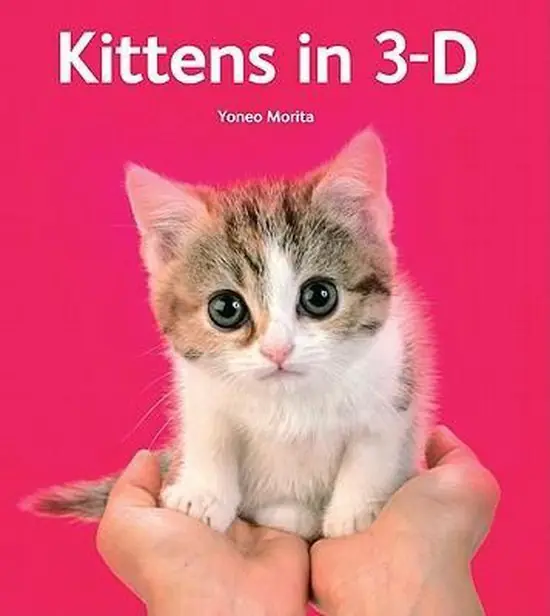 Dagaanbieding KITTENS IN 3-D - Yoneo Morita